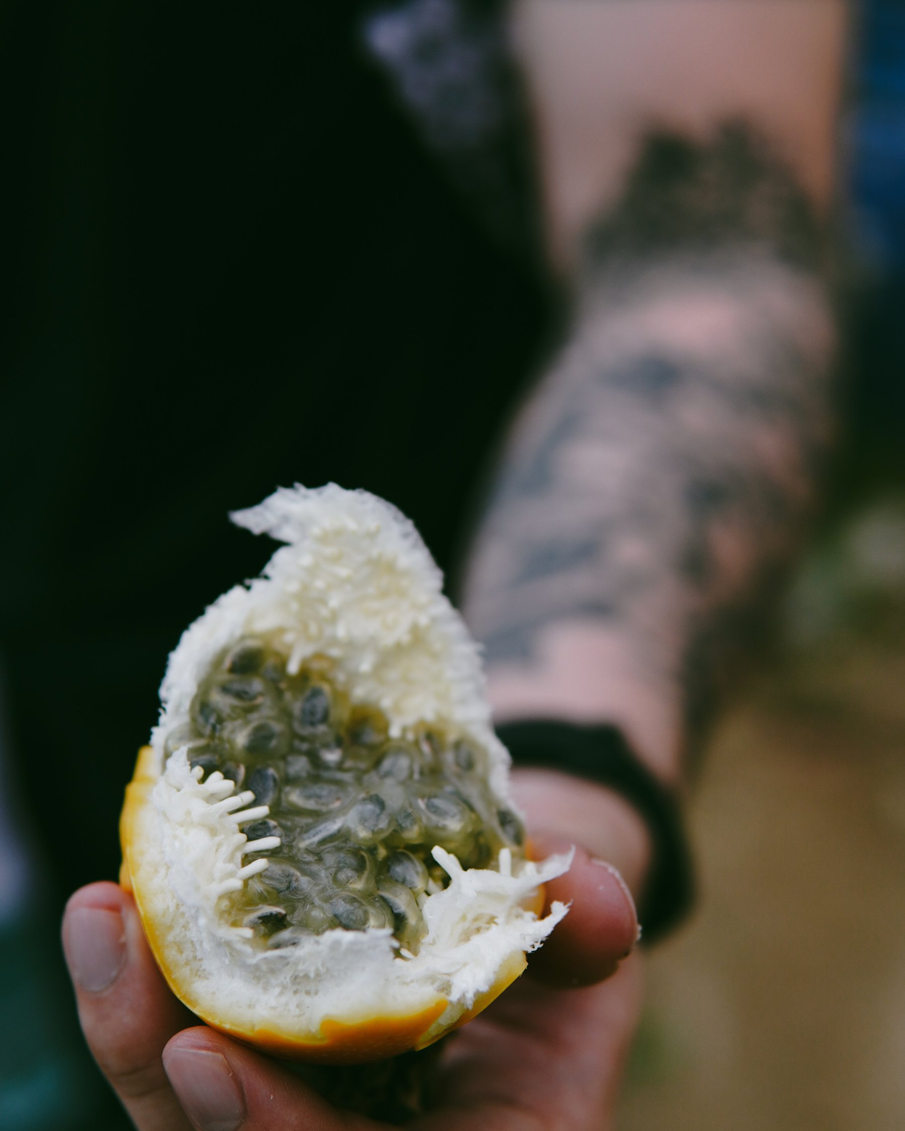 Indigenous Sarawak ingredient — close-up, terroir-led.