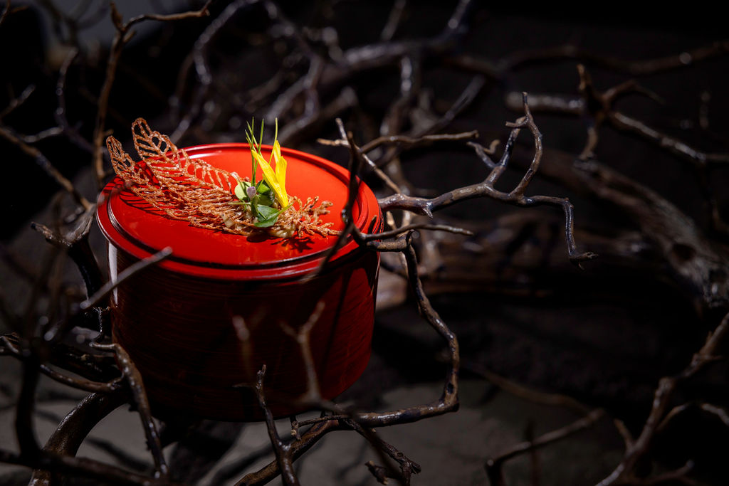 A single feather resting in still light — Osaka