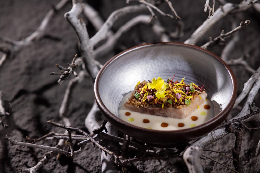 Plated Borneo French Cuisine dish — Serumpun Sarawak at Expo 2025 Osaka, August 2025, where medicinal Bornean ingredients are preserved and elevated through French classical technique